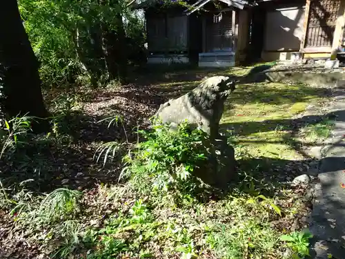 頼政神社の狛犬