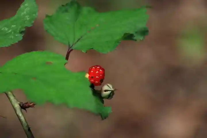 大六天麻王神社の自然