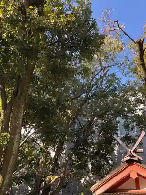 率川神社（大神神社摂社）(奈良県)