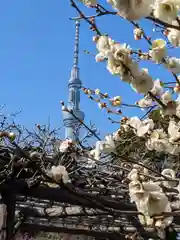 亀戸天神社(東京都)