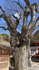 塩屋神社(広島県)