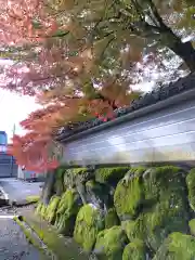 粟生寺(福井県)