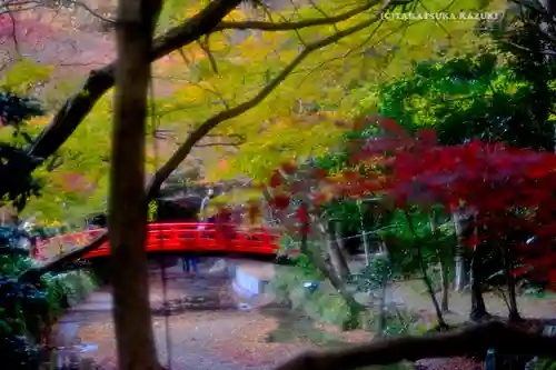 小國神社(静岡県)