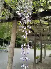 日吉神社の庭園