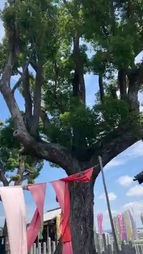 玉田神社(京都府)
