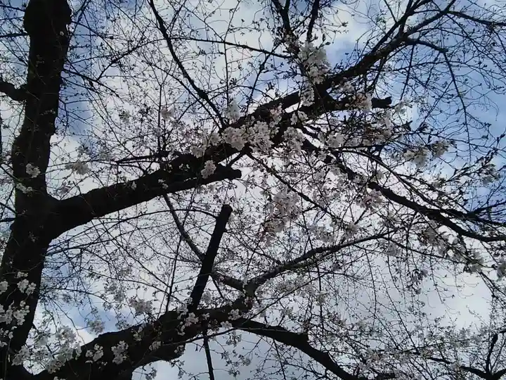 名古屋東照宮の自然