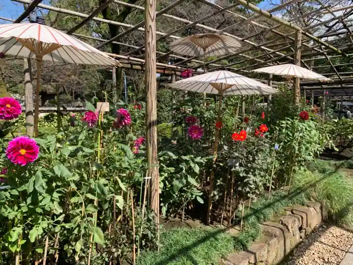 上野東照宮の自然