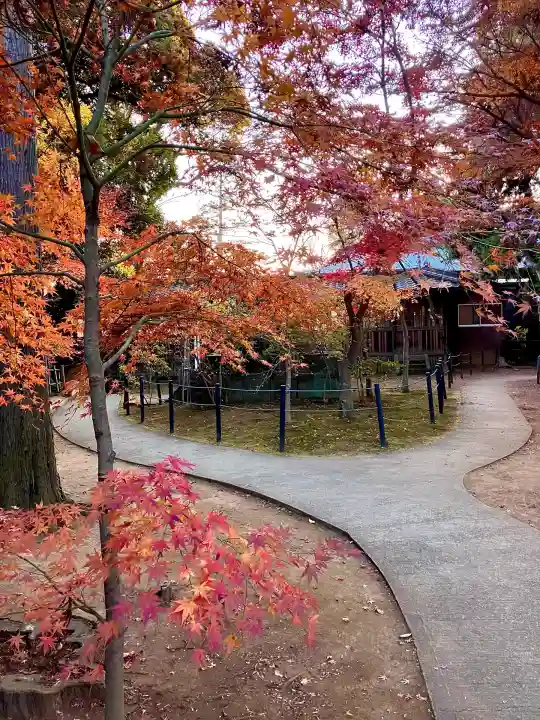 本土寺(千葉県)