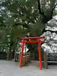 蒲生八幡神社(鹿児島県)