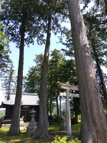 白山神社の{uncategorized: "未分類", other: "その他", undefined: "問題あり", building: "その他建物", grave: "お墓", sacred_gate: "鳥居", guardian: "狛犬", statue: "像", buddha: "仏像", history: "歴史", nature: "自然", garden: "庭園", animal: "動物", pagoda: "塔", temizu: "手水舎", mountain_gate: "山門・神門", sanctuary: "本殿・本堂", subordinate: "末社・摂社", art: "芸術", scenery: "景色", jizo: "地蔵", ema: "絵馬", goshuin: "御朱印", omikuji: "おみくじ", items: "授与品その他", amulet: "お守り", goshuincho: "御朱印帳", eats: "食事", festival: "お祭り", votive_dance: "神楽", shichigosan: "七五三参", wedding: "結婚式", experience: "体験その他", initially: "初詣", around: "周辺", anti_infection: "感染症対策"}