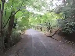 園城寺（三井寺）(滋賀県)