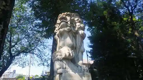 亀久保神明神社の狛犬