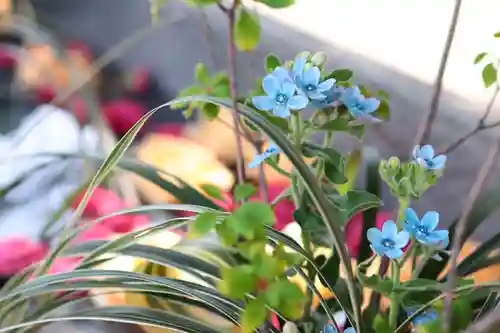 三津厳島神社の自然
