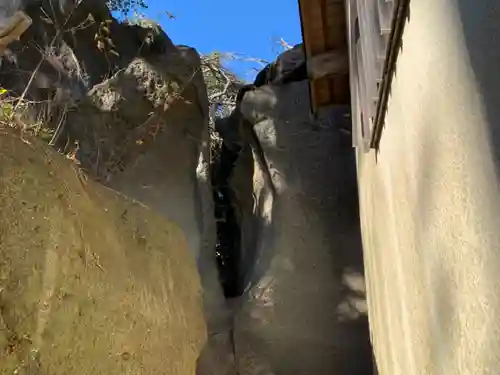 海南刀切神社の自然