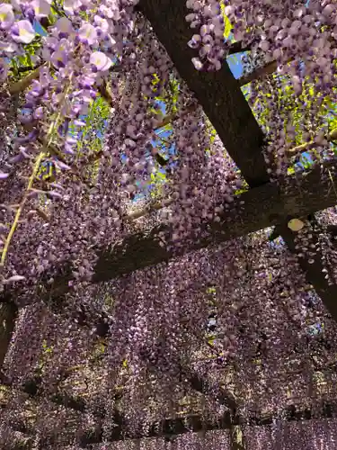 日吉神社の庭園