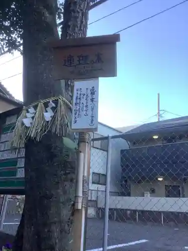 蝮ヶ池八幡宮の自然