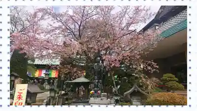 密藏院(埼玉県)