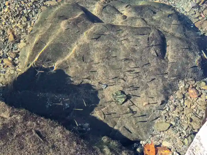 伊勢神宮内宮(皇大神宮)(三重県)