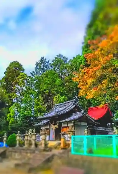 赤坂神社の建物その他