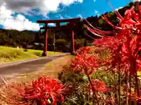 花尾神社の鳥居