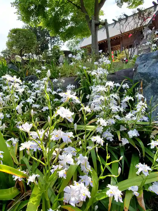 開成山大神宮の自然