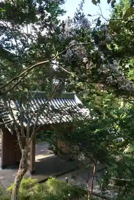 忉利天上寺の山門・神門