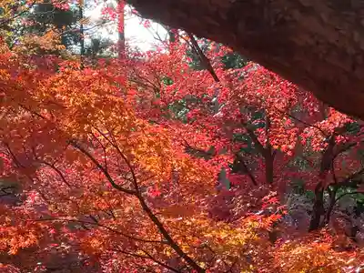 北野天満宮(京都府)