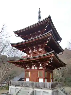 岡寺(龍蓋寺)(奈良県)