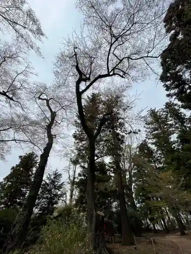神炊館神社 ⁂奥州須賀川総鎮守⁂(福島県)
