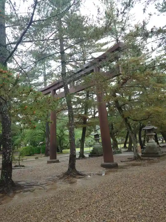 出雲大社(島根県)