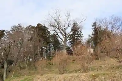 阿久津「田村神社」（郡山市阿久津町）旧社名：伊豆箱根三嶋三社の景色