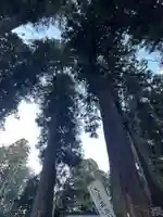大宮温泉神社(栃木県)