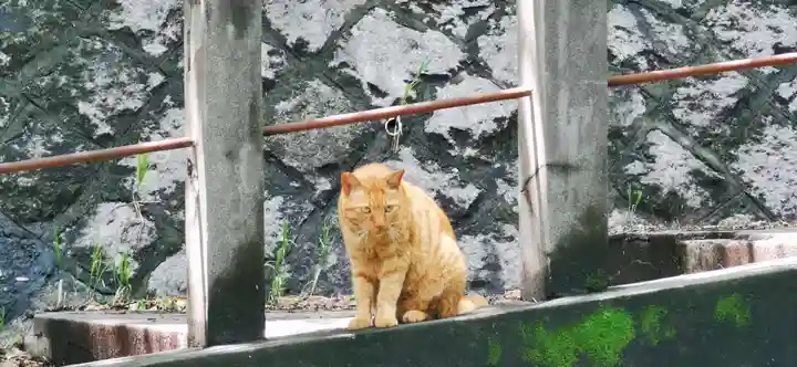 王子神社の動物