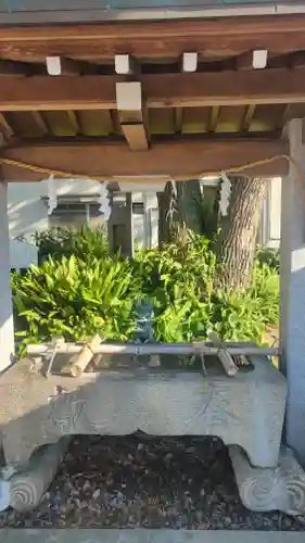 恵美須神社の手水舎