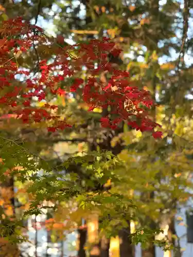 諏訪大社下社秋宮(長野県)