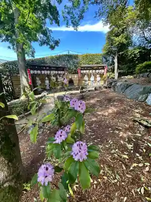 中野沼袋氷川神社(東京都)