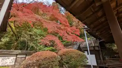 毘沙門堂門跡(京都府)