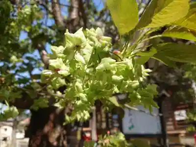 松應寺(愛知県)