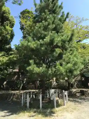 名島神社の自然