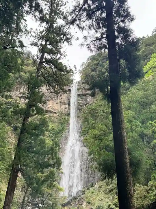 飛瀧神社(熊野那智大社別宮)の{uncategorized: "未分類", other: "その他", undefined: "問題あり", building: "その他建物", grave: "お墓", sacred_gate: "鳥居", guardian: "狛犬", statue: "像", buddha: "仏像", history: "歴史", nature: "自然", garden: "庭園", animal: "動物", pagoda: "塔", temizu: "手水舎", mountain_gate: "山門・神門", sanctuary: "本殿・本堂", subordinate: "末社・摂社", art: "芸術", scenery: "景色", jizo: "地蔵", ema: "絵馬", goshuin: "御朱印", omikuji: "おみくじ", items: "授与品その他", amulet: "お守り", goshuincho: "御朱印帳", eats: "食事", festival: "お祭り", votive_dance: "神楽", shichigosan: "七五三参", wedding: "結婚式", experience: "体験その他", initially: "初詣", around: "周辺", anti_infection: "感染症対策"}