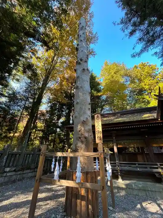 諏訪大社下社春宮(長野県)