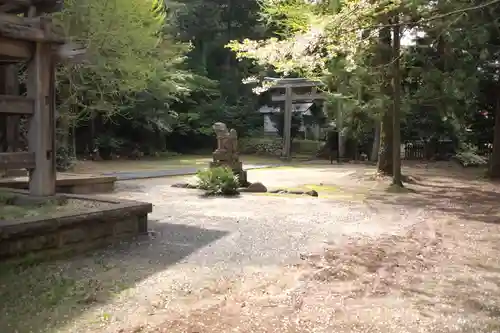 鳥海山大物忌神社蕨岡口ノ宮の狛犬