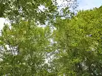 空気神社(山形県)
