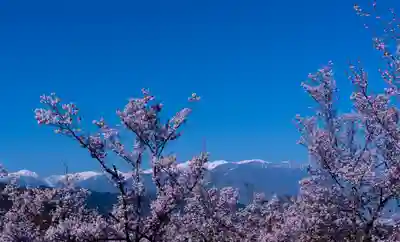 新城藤原神社(長野県)