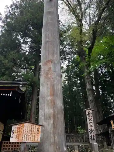 諏訪大社下社秋宮の自然