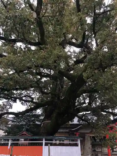 龍田神社の自然