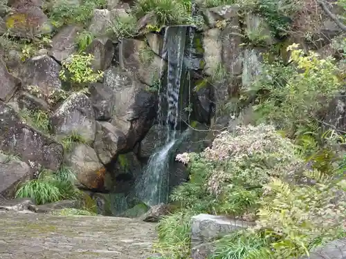 妙蓮寺の庭園