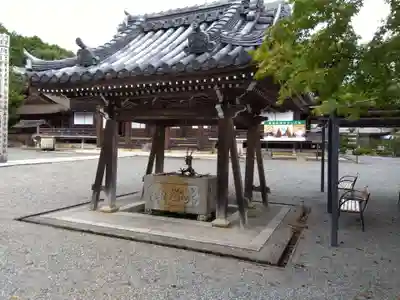 西教寺の手水舎