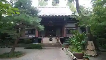 観音院の本殿・本堂