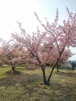 大己貴神社の自然